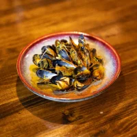 mejillones_opt